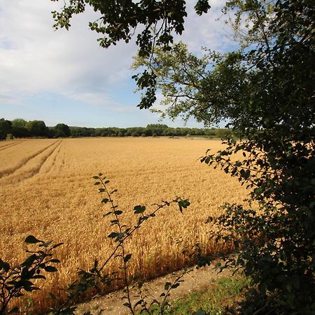 Cowslip Barn Annexe, Countryside Stay Near ชิชิสเตอร์ ภายนอก รูปภาพ